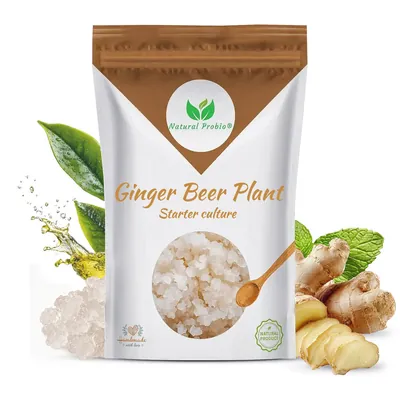Påse med levande ginger beer plant från Natural Probio