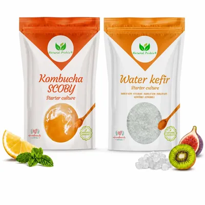 Set med vattenkefirkorn och en kombucha-SCOBY